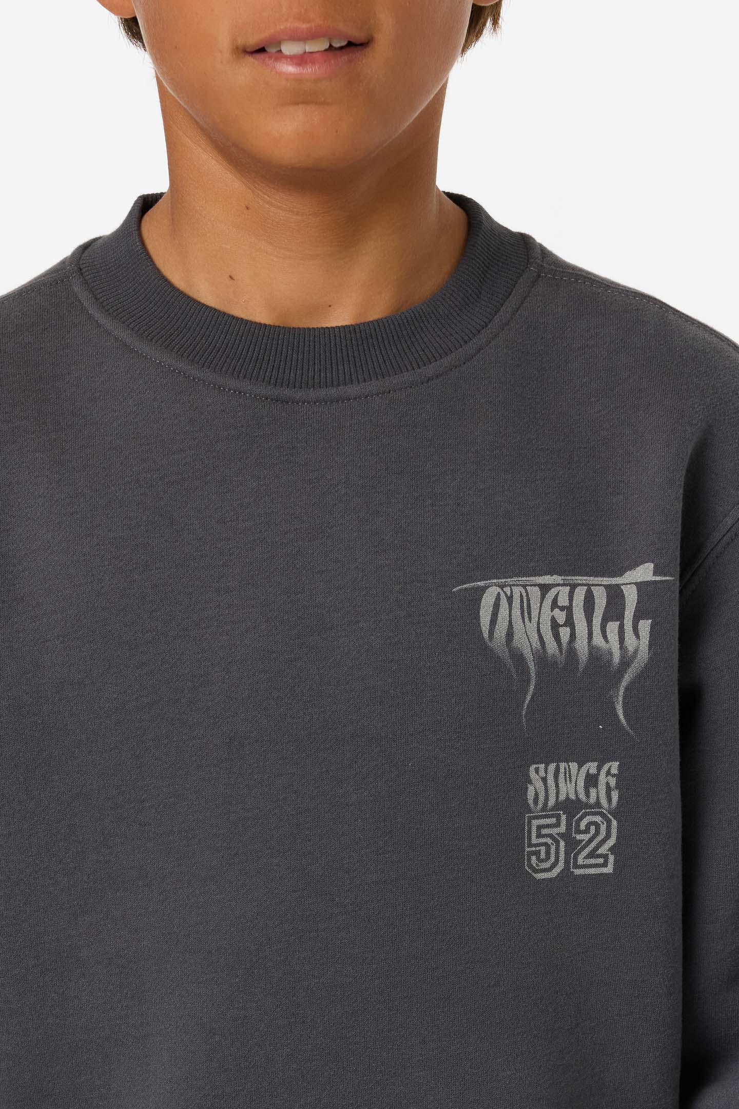 Boy's Shadow Classic Crew Neck Fleece - Image 3