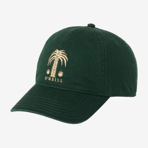 Palm Dad Hat