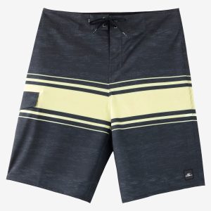Lennox Stripe 21 Boardshorts