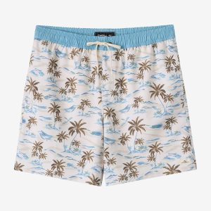 Hermosa Elastic Waist Lined 17 Swim Trunks