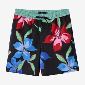 Hermosa Elastic Waist Lined 17 Swim Trunks