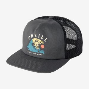 Boy's Wayside Hat