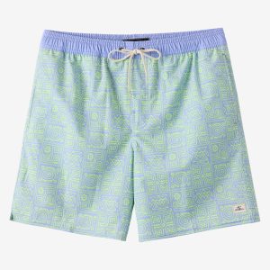 Boy's Hermosa Elastic Waist Lined 16 Swim Trunks