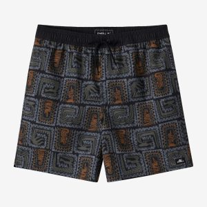 Boy's Hermosa Elastic Waist Lined 16 Swim Trunks