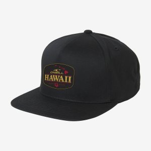 Hawaii Snapback Hat