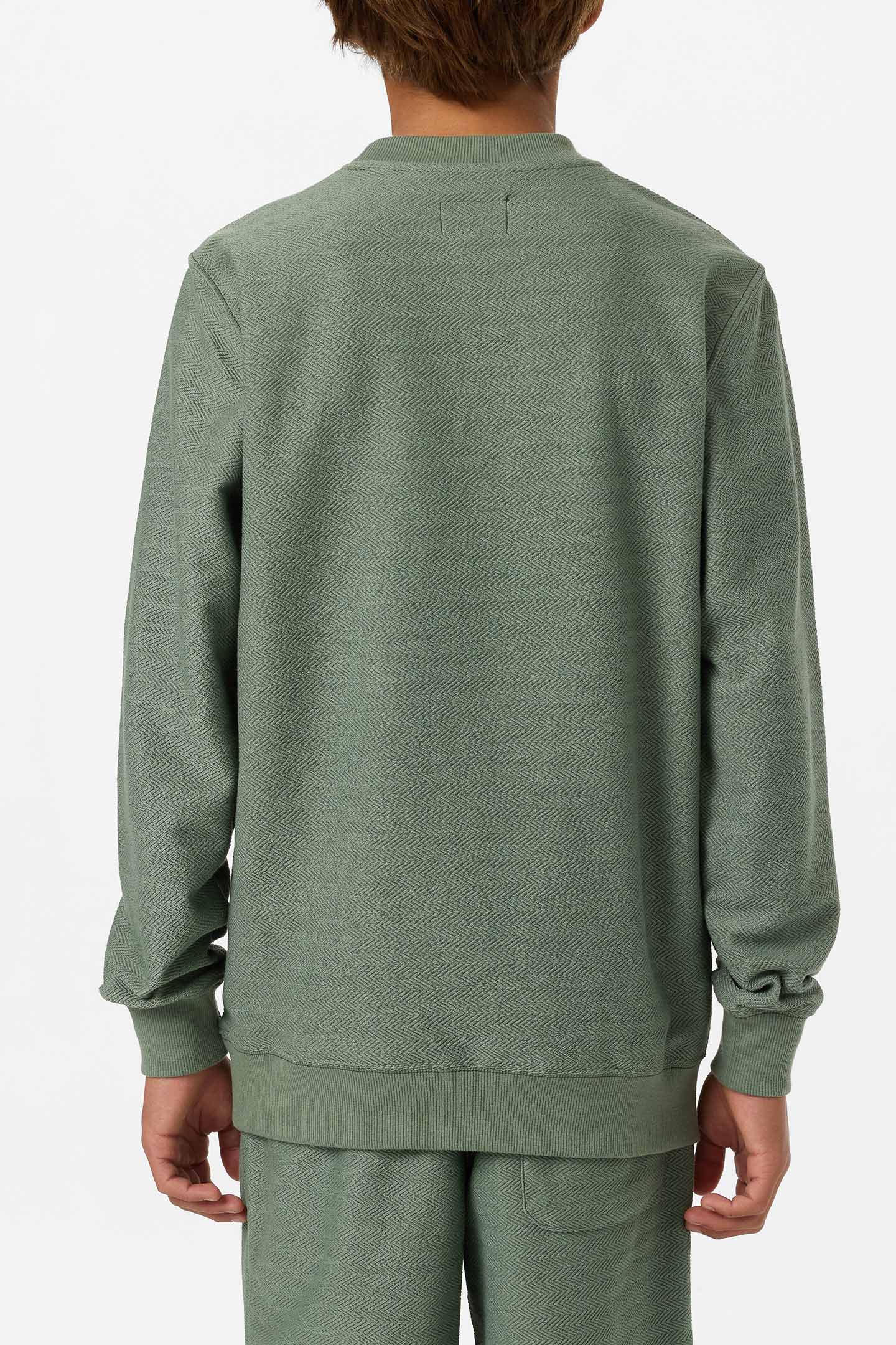 Boy's Bavaro Solid Crew Neck Fleece - Image 5